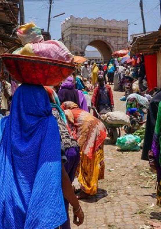 4 Days - Tour to the Historic City of Harar